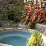 "Nearby, a Japanese lace leaf maple and azalea bushes surround a spa, designed and installed by Brooks Pool Co."