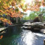 Custom Concrete Koi Pond: Brooks Pool Co., Inc. 
Landscape Architect: Landscape Associates, LLC | North Little Rock, AR
General Contractor: John Ulmer | Little Rock, AR

Brooks Pool Co., Inc. | © 2014 