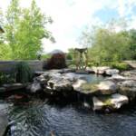 Custom Concrete Koi Pond: Brooks Pool Co., Inc. 
Landscape Architect: Landscape Associates, LLC | North Little Rock, AR
General Contractor: John Ulmer | Little Rock, AR

Brooks Pool Co., Inc. | © 2014 