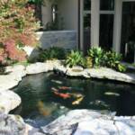 Custom Concrete Koi Pond: Brooks Pool Co., Inc. 
Landscape Architect: Landscape Associates, LLC | North Little Rock, AR
General Contractor: John Ulmer | Little Rock, AR

Brooks Pool Co., Inc. | © 2014 