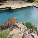 Pool Construction: Brooks Pool Co., Inc. 
Interior Finish: Tahoe Blue PebbleTec®

Landscape Architect: Landscape Associates, LLC | North Little Rock, AR

Brooks Pool Co., Inc. | © 2021 