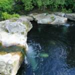 Custom Concrete Koi Pond: Brooks Pool Co., Inc. 
Landscape Architect: Landscape Associates, LLC | North Little Rock, AR
General Contractor: John Ulmer | Little Rock, AR

Brooks Pool Co., Inc. | © 2014