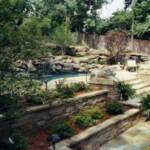 Pool Construction: Brooks Pool Co., Inc. 
Landscape Architect: Landscape Associates, LLC | North Little Rock, AR

Brooks Pool Co., Inc. | © 2013 